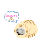つみれ ①（個別スタンプ：17）