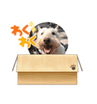 つみれ ①（個別スタンプ：18）