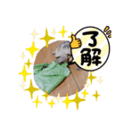 俺らの趣味手帳(生き物マニアの集い)（個別スタンプ：4）