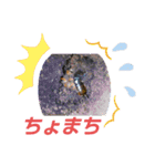 俺らの趣味手帳(生き物マニアの集い)（個別スタンプ：6）