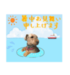 ウェルシュテリア ♡ジェリーさんの1日(16)（個別スタンプ：4）