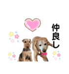 ウェルシュテリア ♡ジェリーさんの1日(16)（個別スタンプ：5）