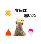 ウェルシュテリア ♡ジェリーさんの1日(16)（個別スタンプ：8）