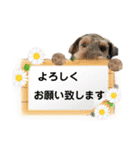 ウェルシュテリア ♡ジェリーさんの1日(16)（個別スタンプ：9）