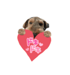 ウェルシュテリア ♡ジェリーさんの1日(16)（個別スタンプ：14）