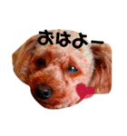 haru【日常】（個別スタンプ：1）
