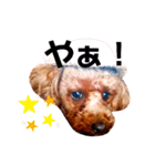 haru【日常】（個別スタンプ：3）