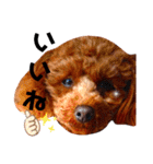 haru【日常】（個別スタンプ：7）