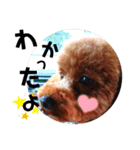 haru【日常】（個別スタンプ：12）