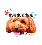 haru【日常】（個別スタンプ：15）