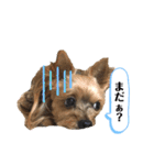 松永ひめちゃんのスタンプ3（個別スタンプ：6）