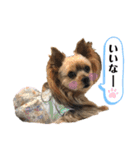 松永ひめちゃんのスタンプ3（個別スタンプ：10）