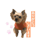 松永ひめちゃんのスタンプ3（個別スタンプ：15）