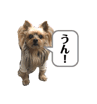 松永ひめちゃんのスタンプ3（個別スタンプ：21）