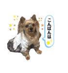 松永ひめちゃんのスタンプ3（個別スタンプ：23）