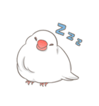 ふくふく文鳥（個別スタンプ：10）