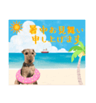 ウェルシュテリア ♡ジェリーさんの1日(17)（個別スタンプ：10）