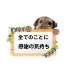 ウェルシュテリア ♡ジェリーさんの1日(17)（個別スタンプ：12）