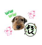 ウェルシュテリア ♡ジェリーさんの1日(17)（個別スタンプ：13）
