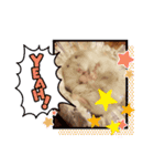 リエとユキヲ～Y（個別スタンプ：7）