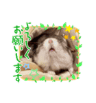 リエとユキヲ～Y（個別スタンプ：11）