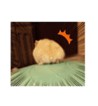リエとユキヲ～Y（個別スタンプ：12）