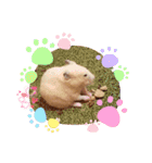 リエとユキヲ～Y（個別スタンプ：16）