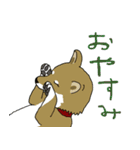 犬猫会議（個別スタンプ：26）