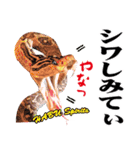 沖縄 あるある会話2（個別スタンプ：4）