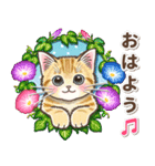 やさしい猫のポップアップ 5☆にゃつ(夏)（個別スタンプ：1）