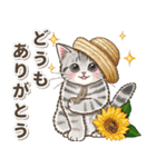 やさしい猫のポップアップ 5☆にゃつ(夏)（個別スタンプ：3）