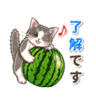 やさしい猫のポップアップ 5☆にゃつ(夏)（個別スタンプ：5）