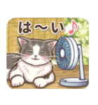 やさしい猫のポップアップ 5☆にゃつ(夏)（個別スタンプ：7）