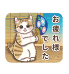 やさしい猫のポップアップ 5☆にゃつ(夏)（個別スタンプ：11）