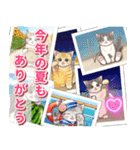 やさしい猫のポップアップ 5☆にゃつ(夏)（個別スタンプ：23）