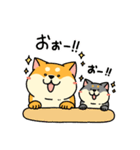 柴犬むちの毎日（個別スタンプ：14）