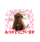 トイ君の日常（個別スタンプ：1）