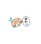 スコおかかの普段使い（個別スタンプ：21）