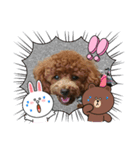 ティナのスタンプ20（個別スタンプ：5）