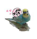 LOVE♡クルちゃん（個別スタンプ：3）
