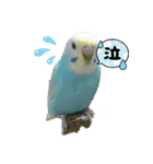 LOVE♡クルちゃん（個別スタンプ：5）