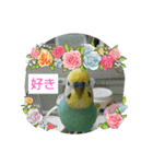 LOVE♡クルちゃん（個別スタンプ：16）