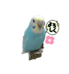 LOVE♡クルちゃん（個別スタンプ：20）
