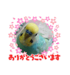 LOVE♡クルちゃん（個別スタンプ：39）