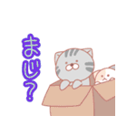 あらぶる日常☆猫たちのスタンプ（個別スタンプ：39）