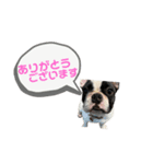 うりむくんスタンプ第二弾（個別スタンプ：9）