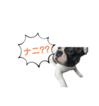 うりむくんスタンプ第二弾（個別スタンプ：10）