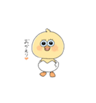 ひよこだピ（個別スタンプ：11）