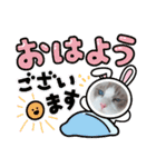 ふだんづかいのラグドールのラムニャン2（個別スタンプ：2）