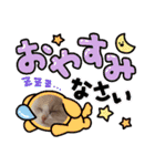 ふだんづかいのラグドールのラムニャン2（個別スタンプ：32）